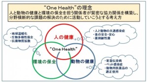 「One Health」がパンデミックから人類を守る